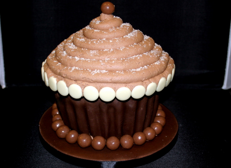 Giant Chocolate Cupcake