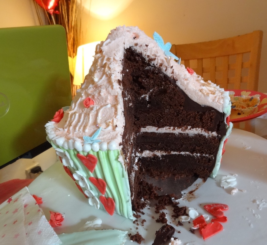 Giant Chocolate Cupcake