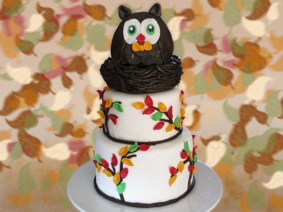 7 Photos of Owl Baby Shower Cakes Cake Central 7 Photos of Owl Baby Shower Cakes Cake Central