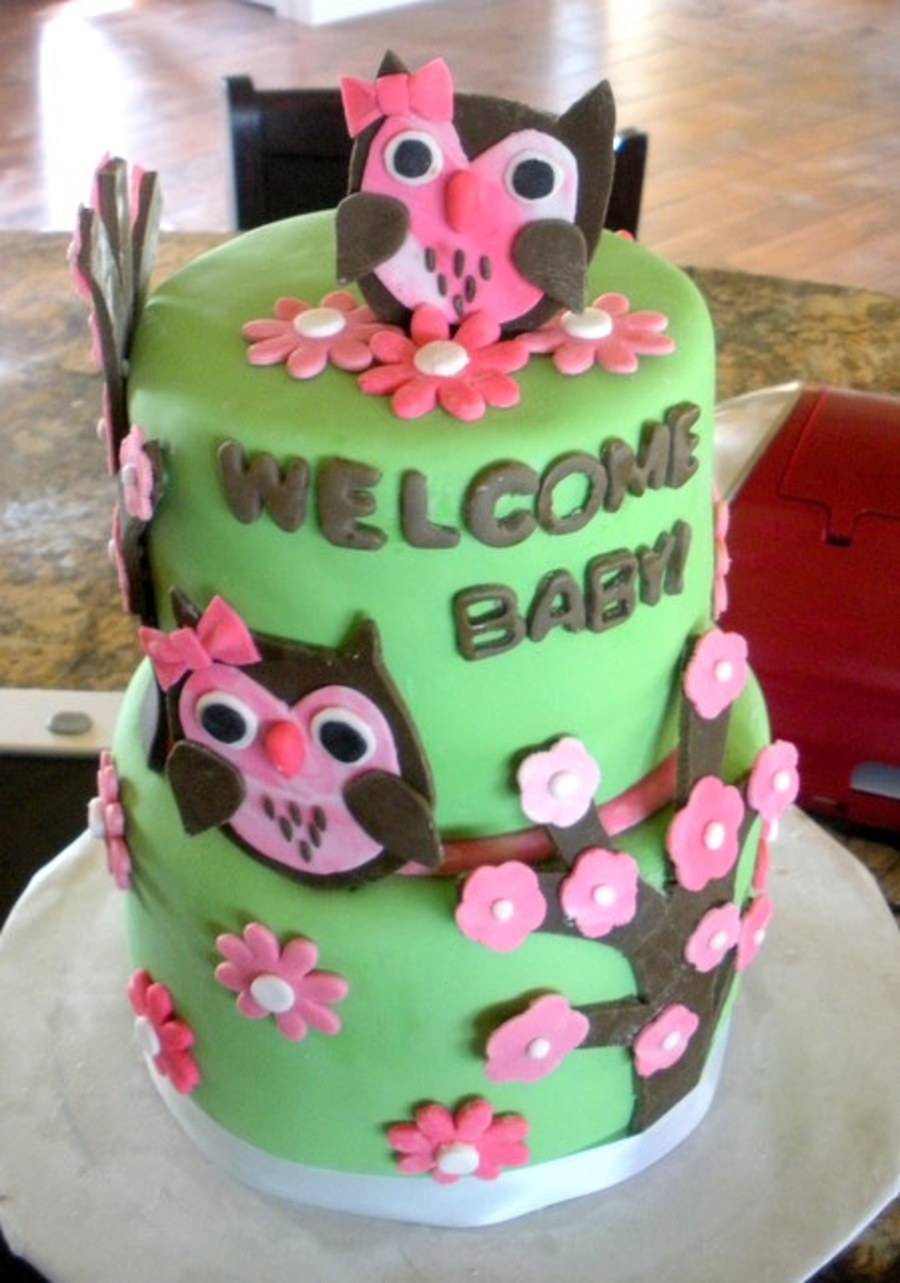 Owl Baby Shower Cake Owl Baby Shower Cake