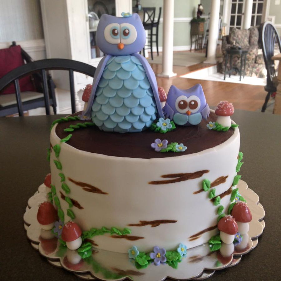 Owl Baby Shower Cake Owl Baby Shower Cake