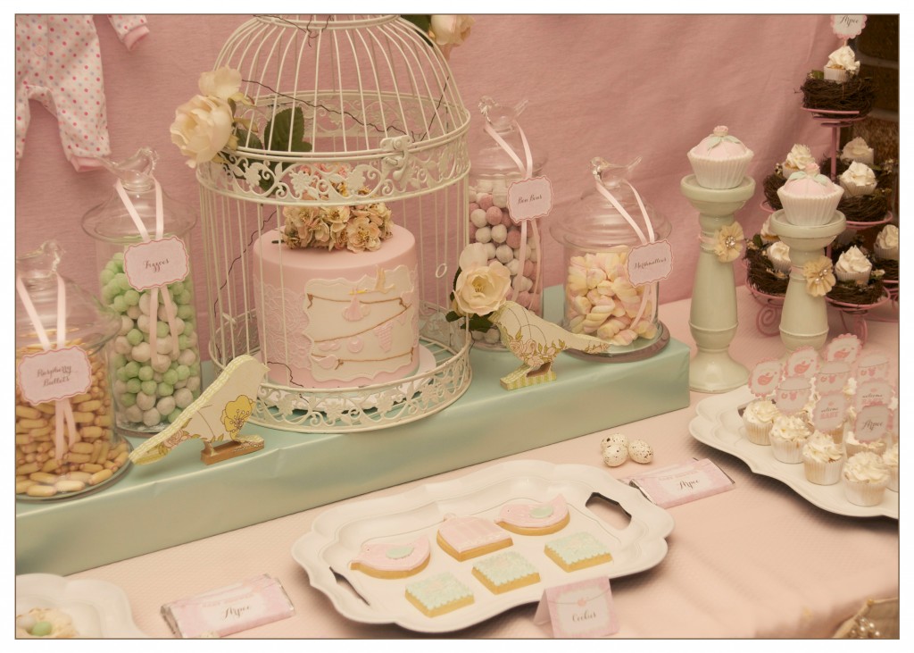 Vintage Bird Themed Baby Shower