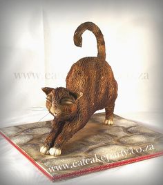 3D Cat Cake