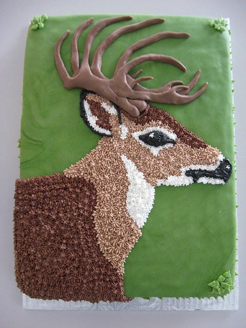 Deer Hunting Birthday Cake Ideas