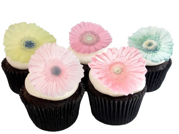 Gerber Daisy Cake Decorations