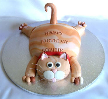 Happy Birthday Cat Cake