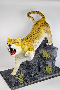 Leopard Cake Designs