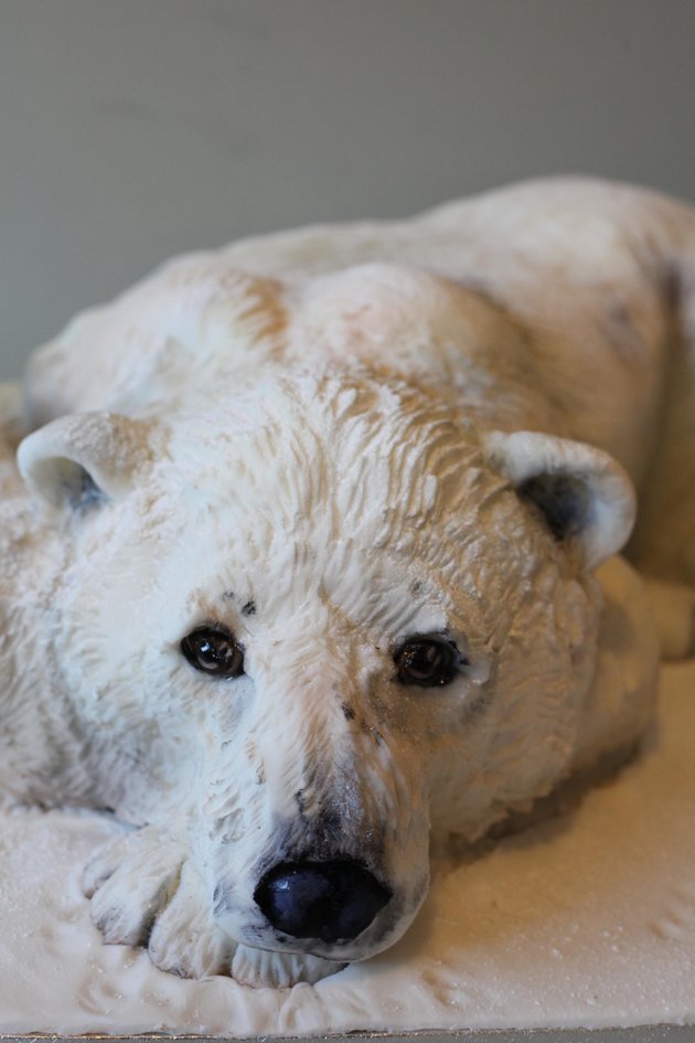 Realistic Animal Cakes Realistic Animal Cakes