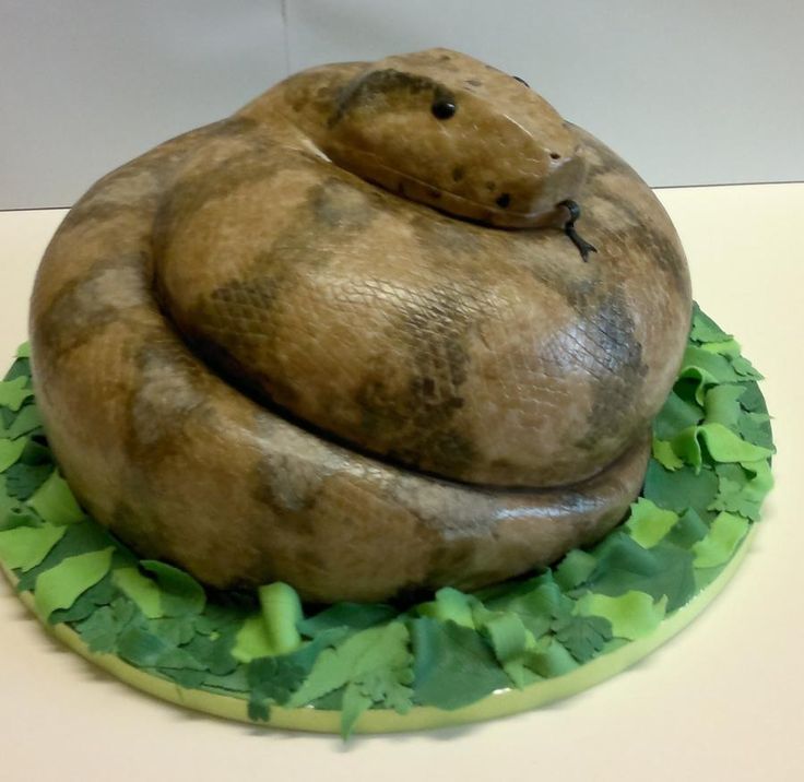 Snake Cake Snake Cake