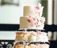 Two Tier Wedding Cake with Cupcakes
