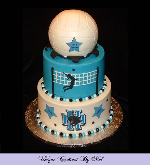 Volleyball Cake Volleyball Cake