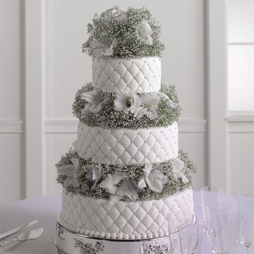 Wedding Cake with Baby Breath Wedding Cake with Baby Breath