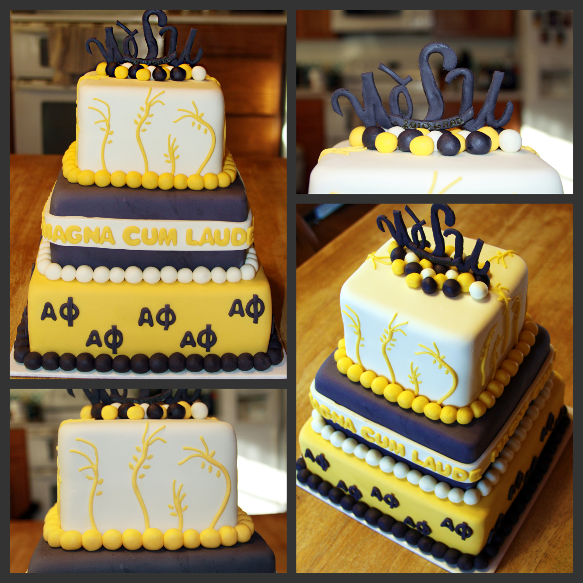 Wichita State University Cake