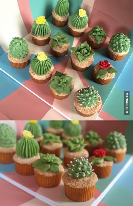 Cactus Cupcake Cake