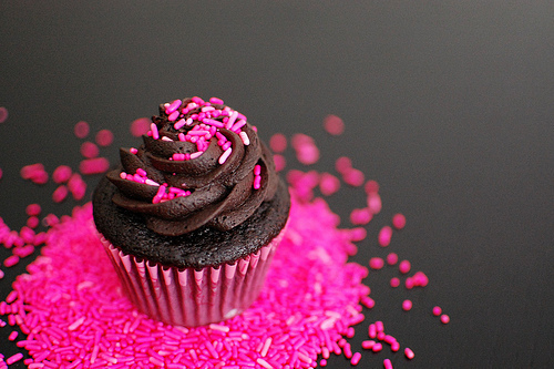 Chocolate Cupcakes with Sprinkles