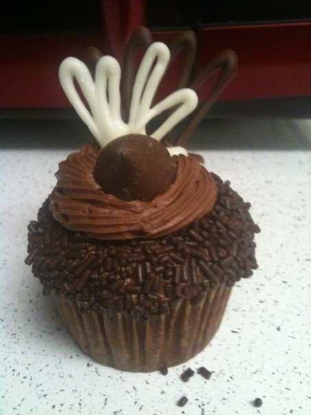 Cupcakes with Chocolate Garnish