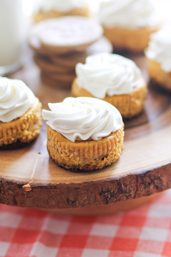 Mini Pumpkin Cheesecakes Mini Pumpkin Cheesecakes