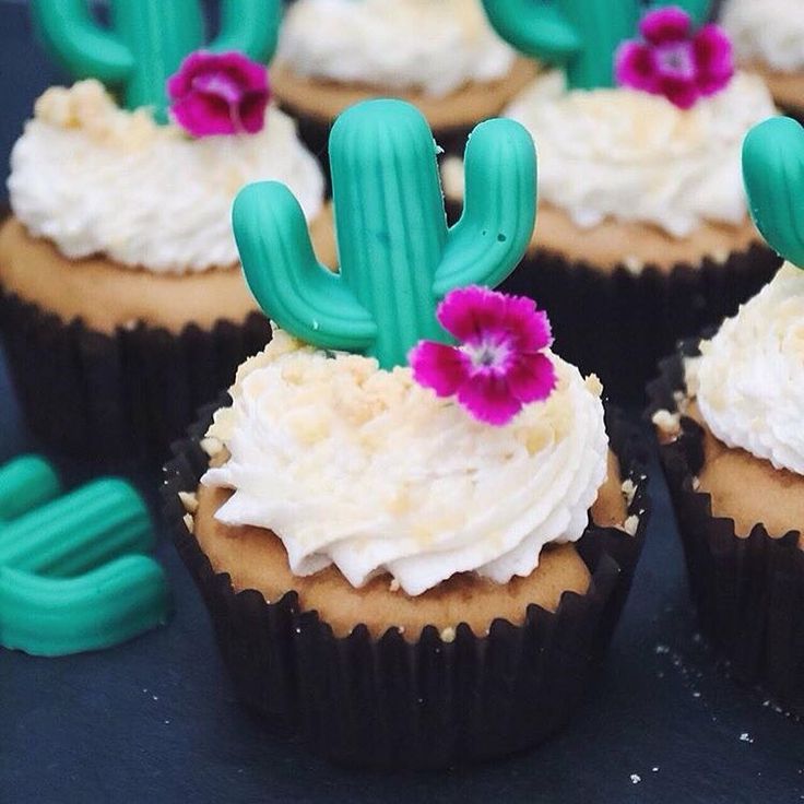 Pinterest Cactus Cupcakes