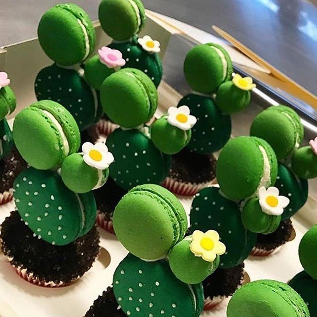 Pinterest Cactus Cupcakes