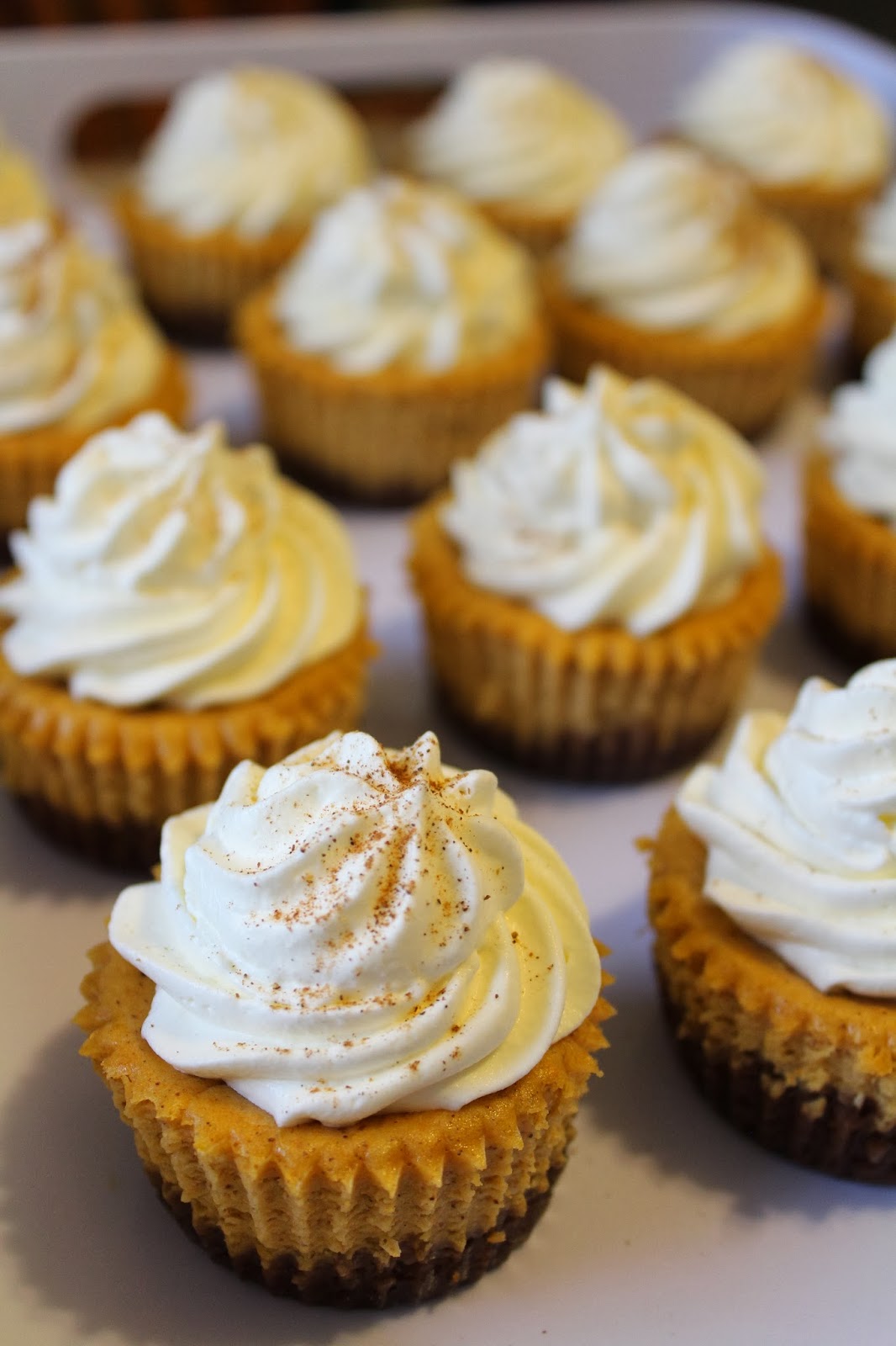 Pumpkin Cheesecake Cupcakes Pumpkin Cheesecake Cupcakes