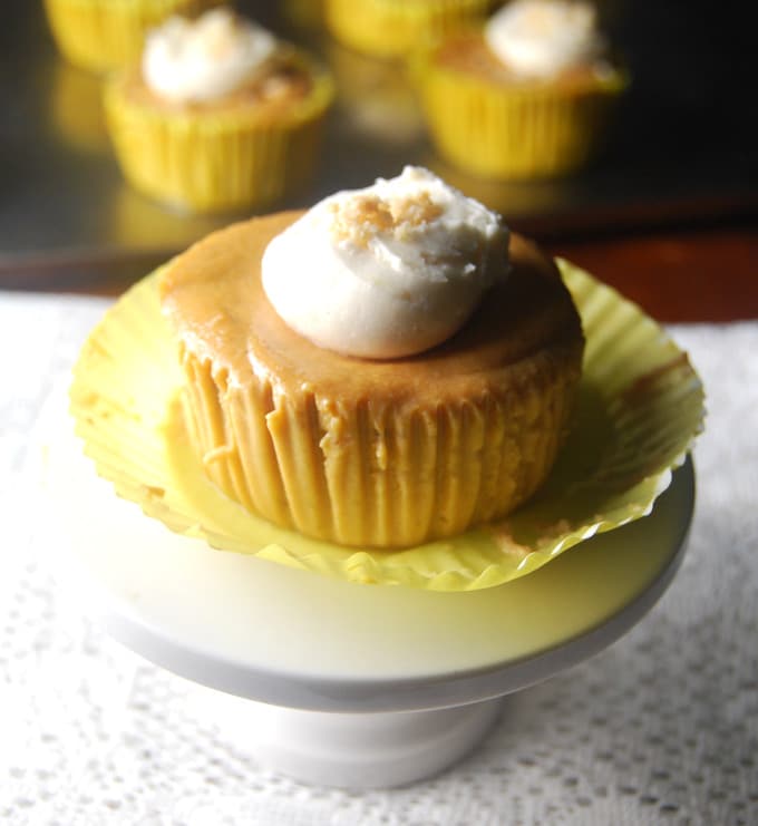 Pumpkin Cheesecake Cupcakes Pumpkin Cheesecake Cupcakes