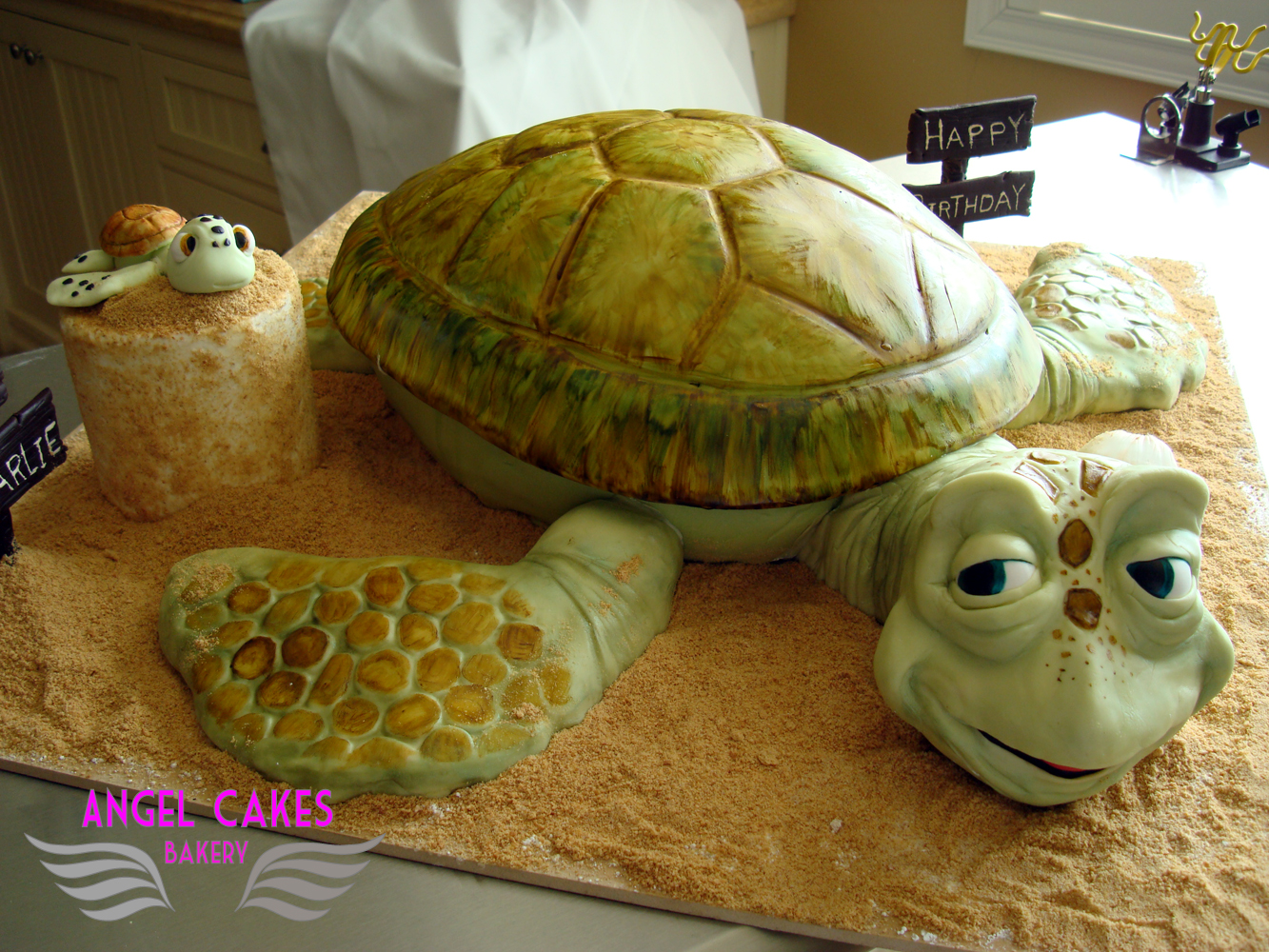 Sea Turtle Cake