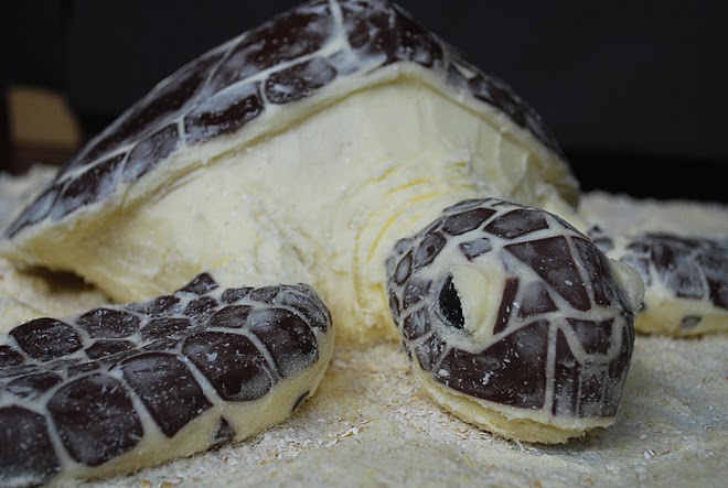 Sea Turtle Cake