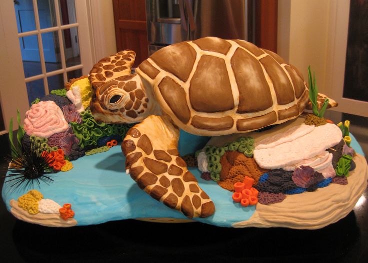 Sea Turtle Shaped Cakes