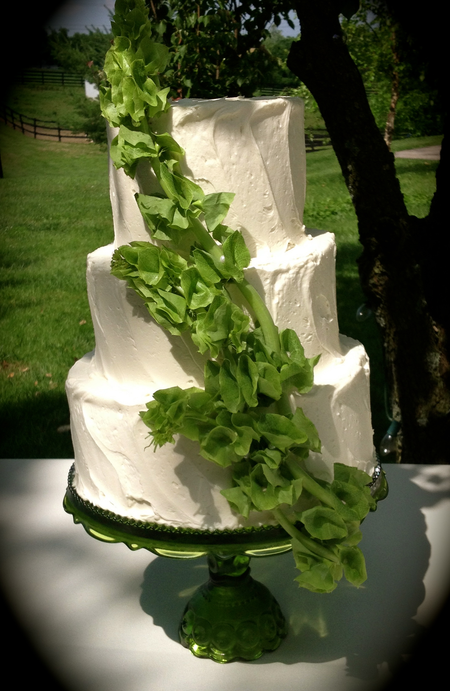 Traditional Irish Wedding Cake