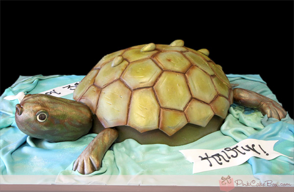 Turtle Birthday Cake