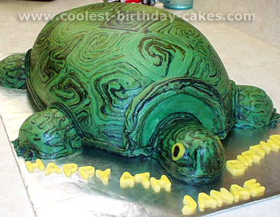 Turtle Birthday Cake