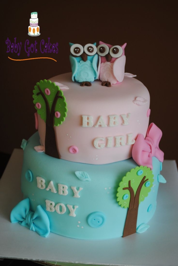 Twin Boy and Girl Baby Shower Cake