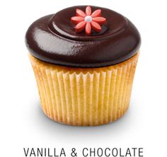 Vanilla Cupcakes with Chocolate Frosting