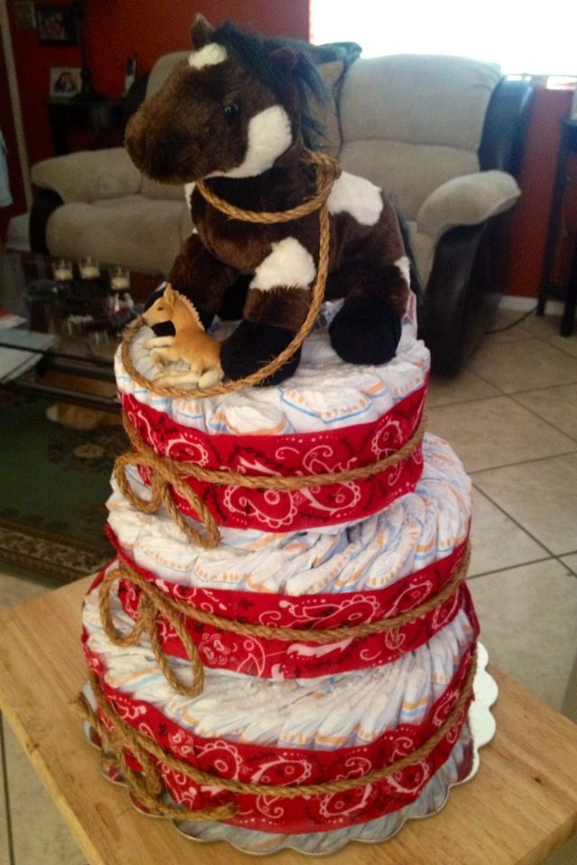 Western Diaper Cake