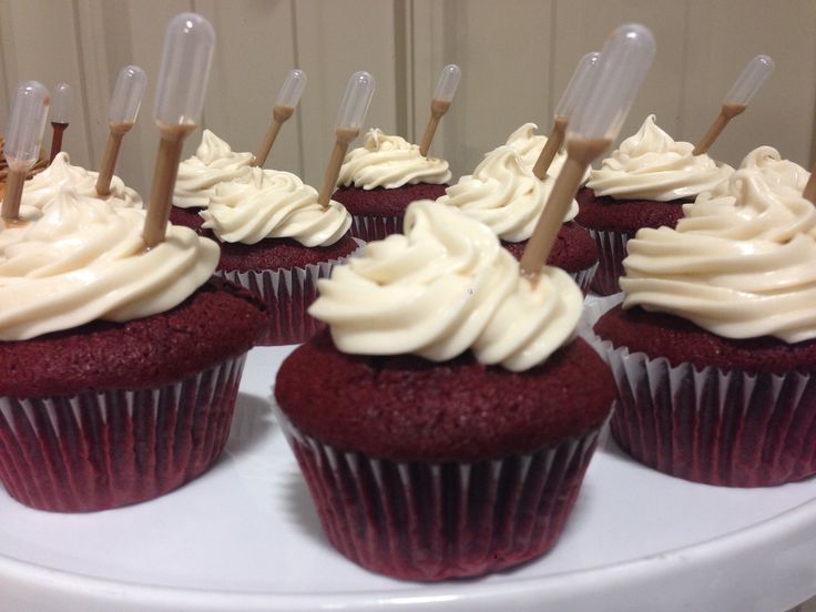 Chocolate Cupcakes with Alcohol