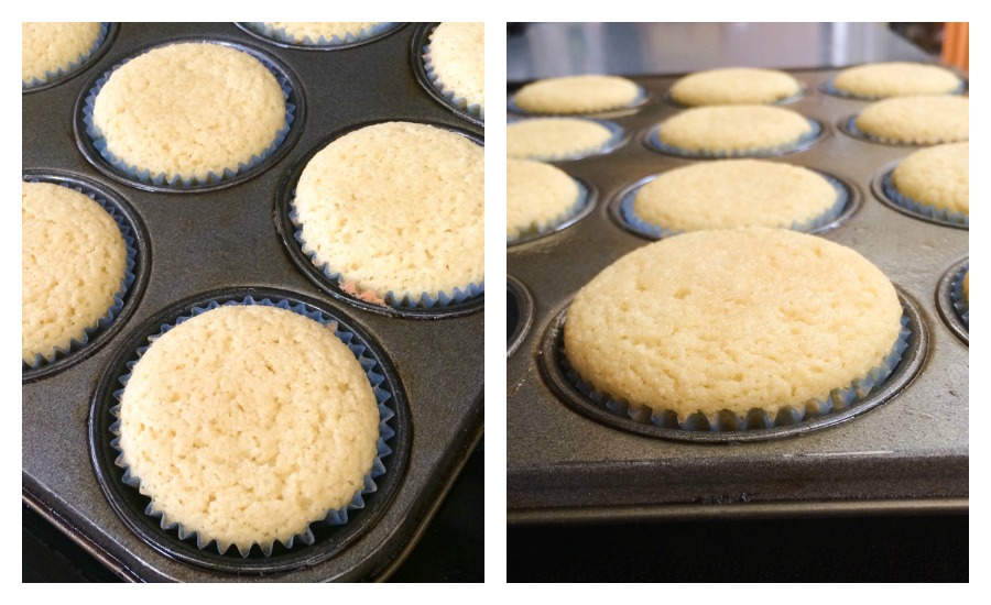Coconut Flour Vanilla Cupcakes