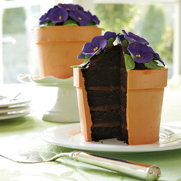 Flower Pot Cake