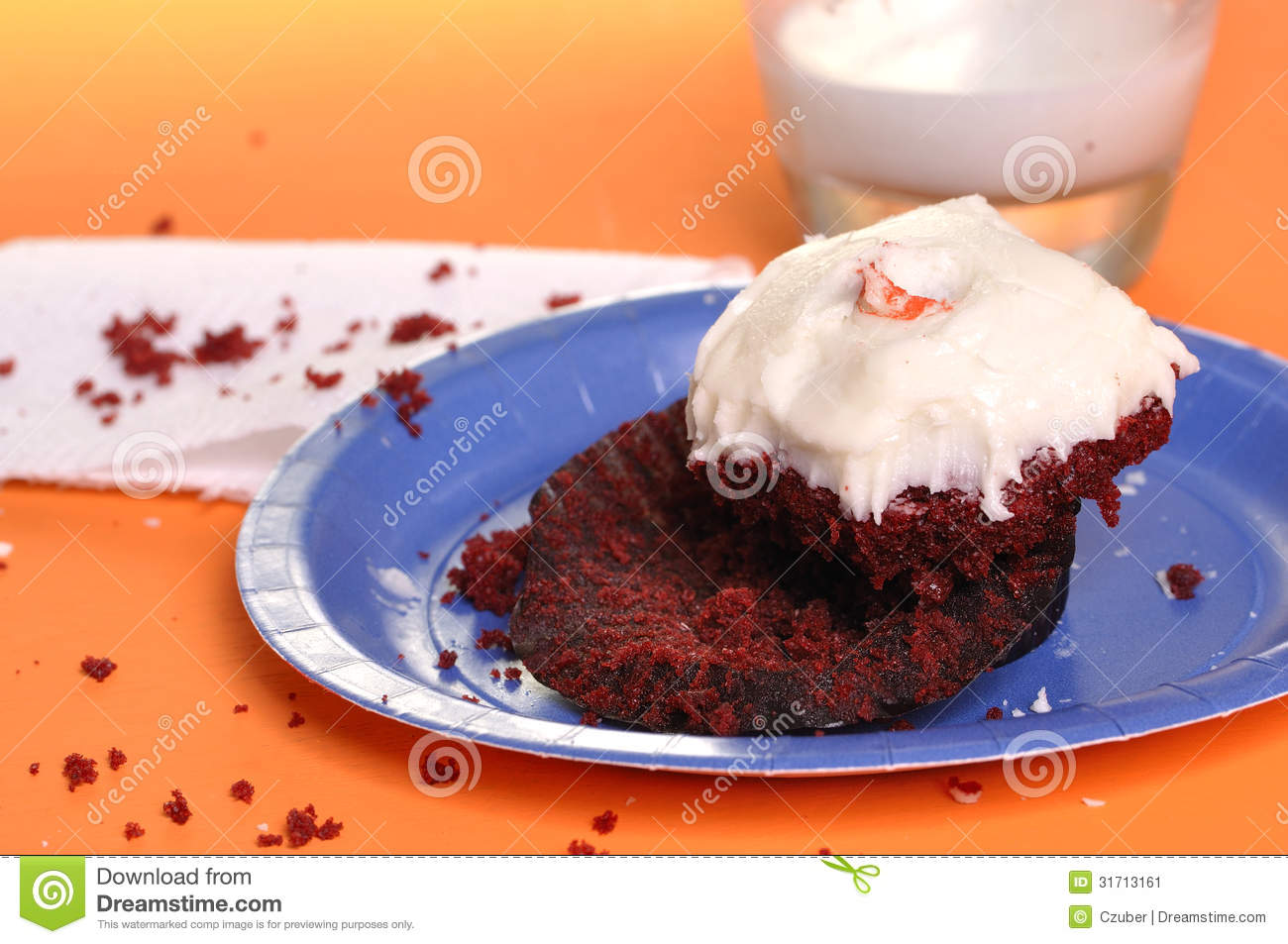 Half-Eaten Cupcake