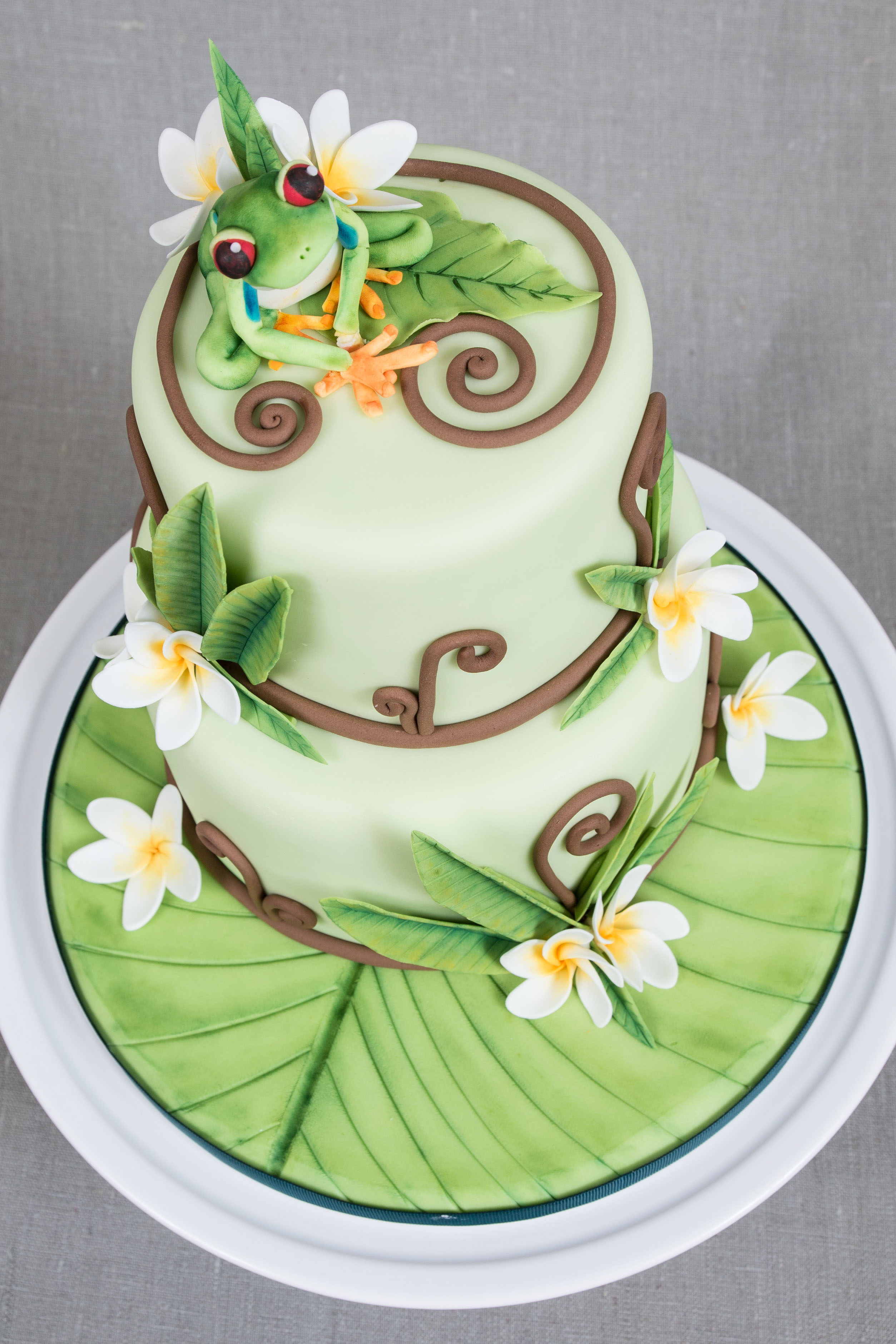 Happy Birthday Frog Cake