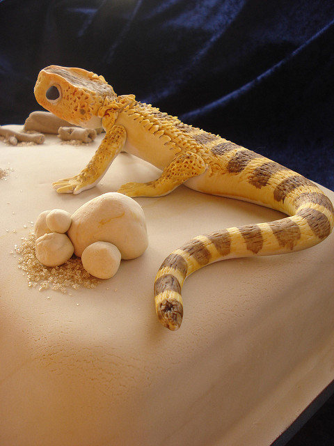 Lizard Bearded Dragon Cake