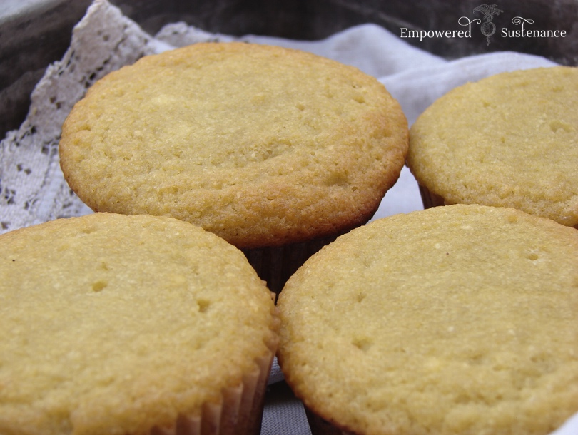 Paleo Coconut Flour Cupcakes