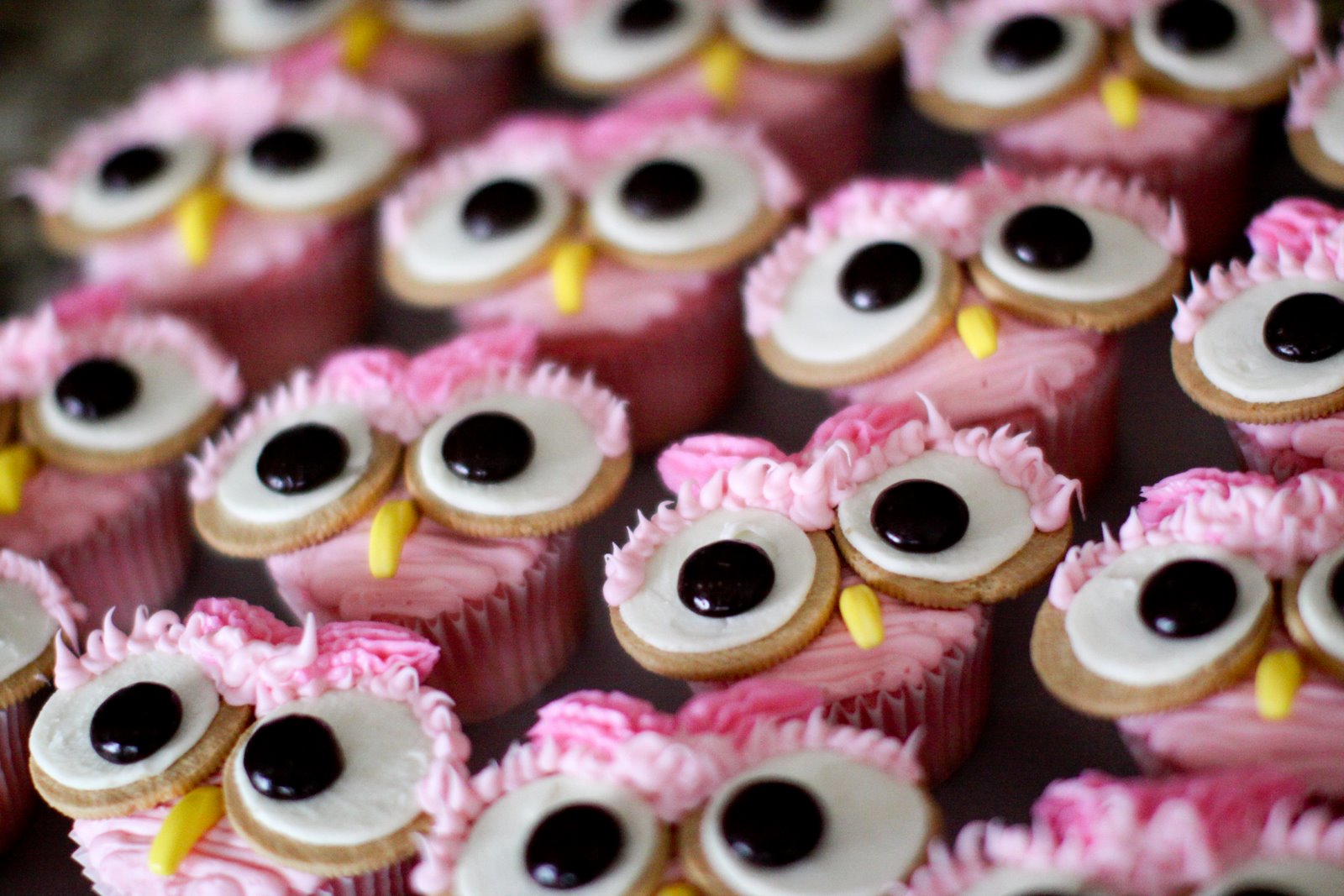 Pink Owl Cupcakes Pink Owl Cupcakes