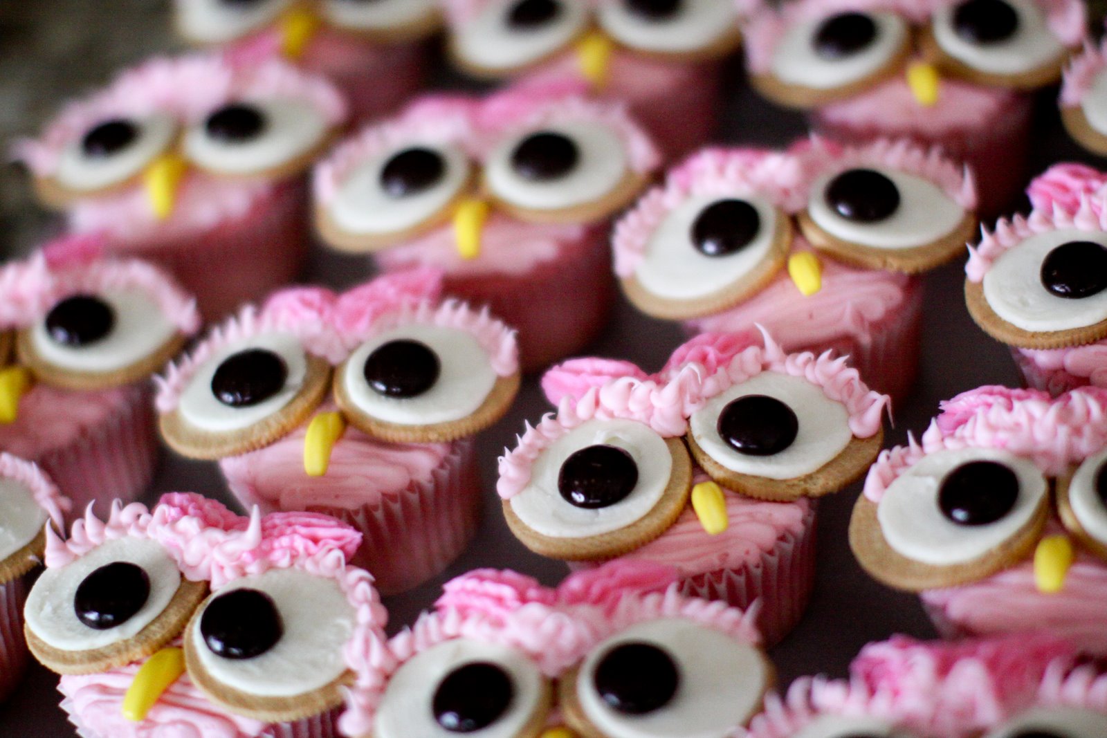 Pink Owl Cupcakes