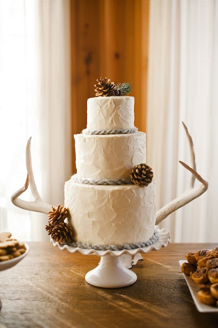 Rustic Wedding Cake with Antlers