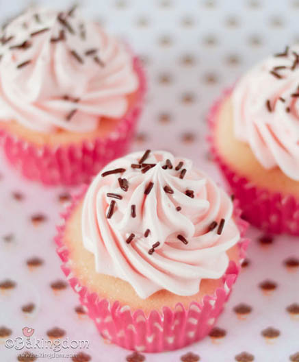 Chocolate Vanilla Cupcakes