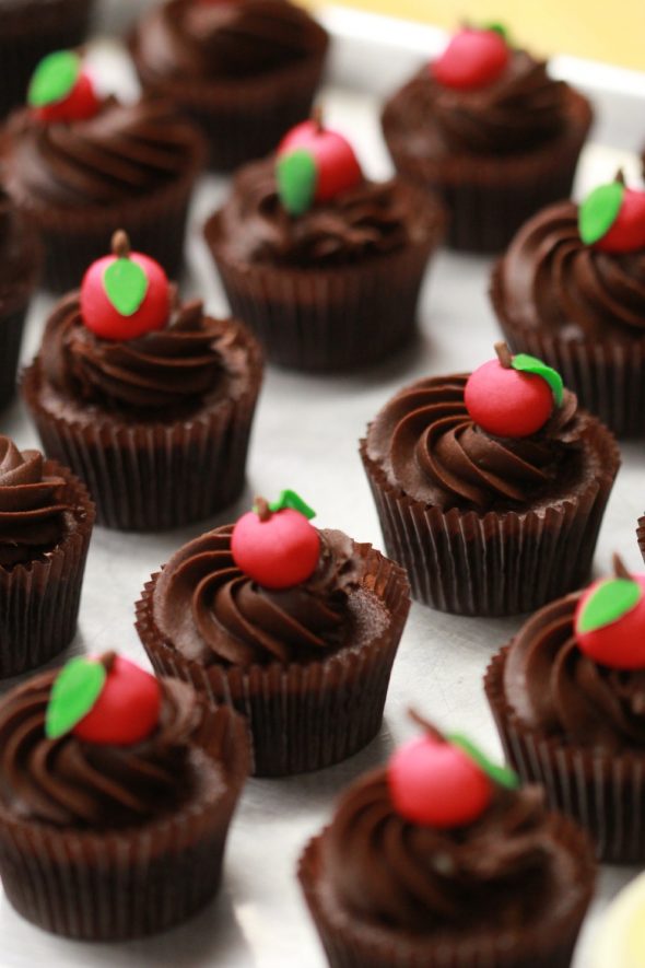 Easy Vanilla Cupcakes with Chocolate Frosting Easy Vanilla Cupcakes with Chocolate Frosting