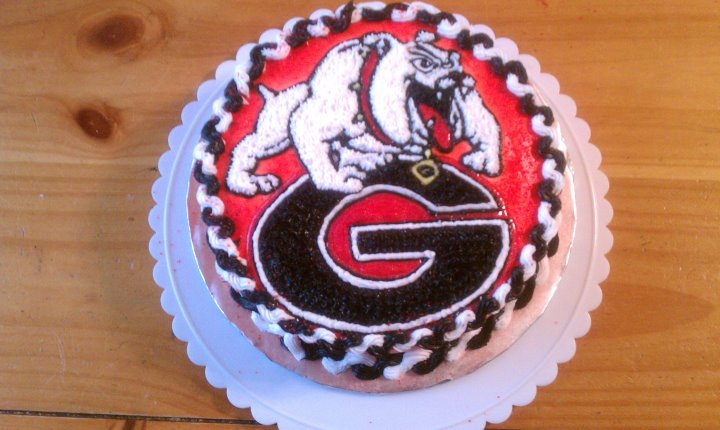 Georgia Bulldog Cake Georgia Bulldog Cake