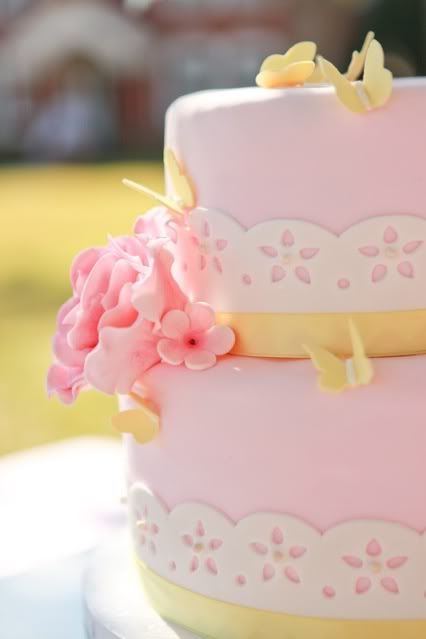 Pink and Yellow Butterfly Cake