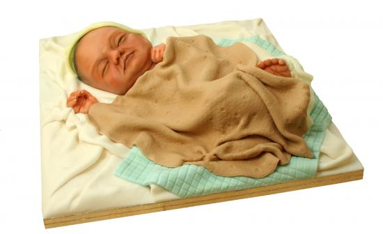 Real Looking Baby Cake Real Looking Baby Cake