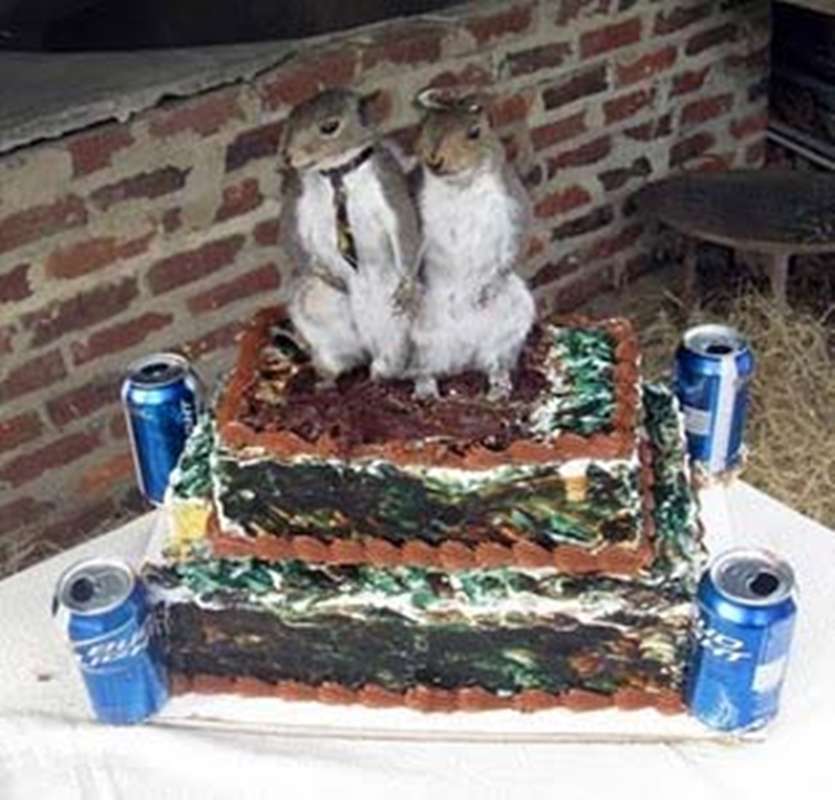 Redneck Wedding Cake